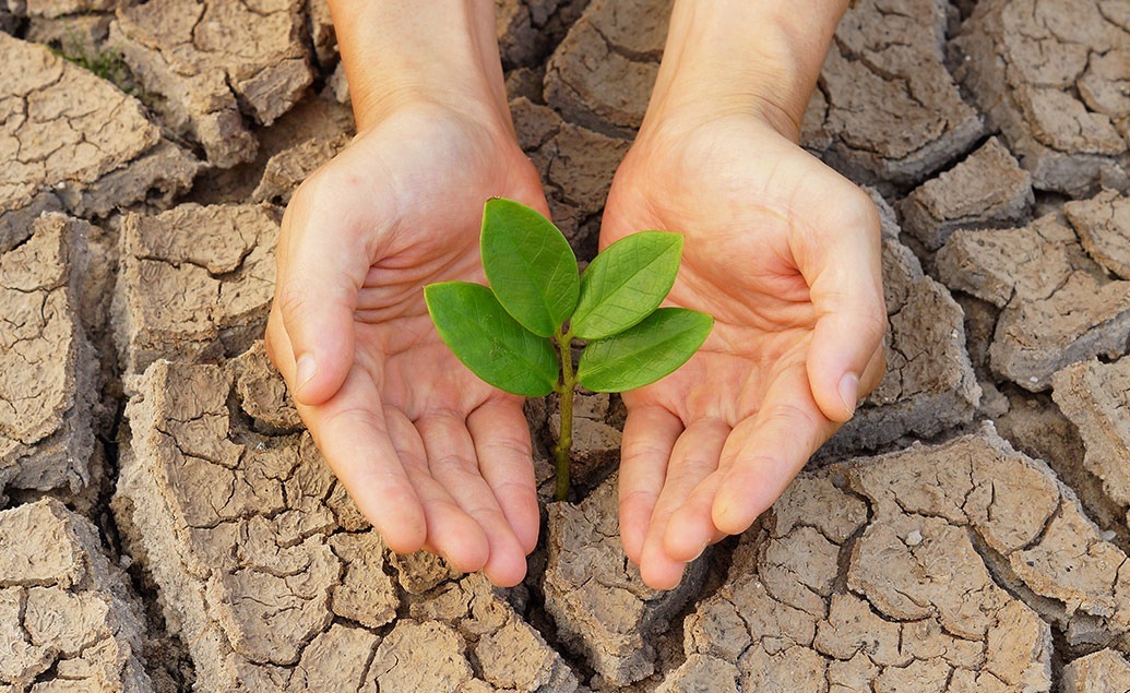 EBA: Consultazione sulle Linee Guida per la Gestione dei Rischi Climatici